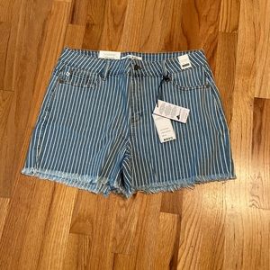 Judy Blue high waist shorts.